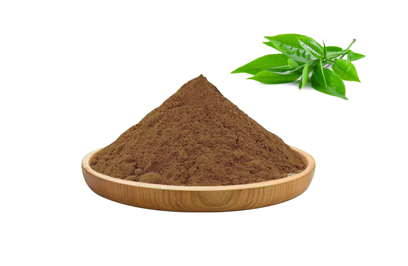 Best Green Tea Extract Egcg